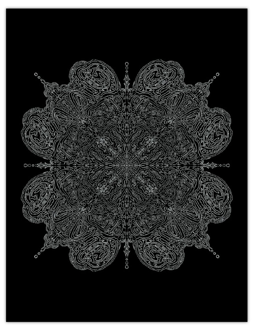 Bloom print