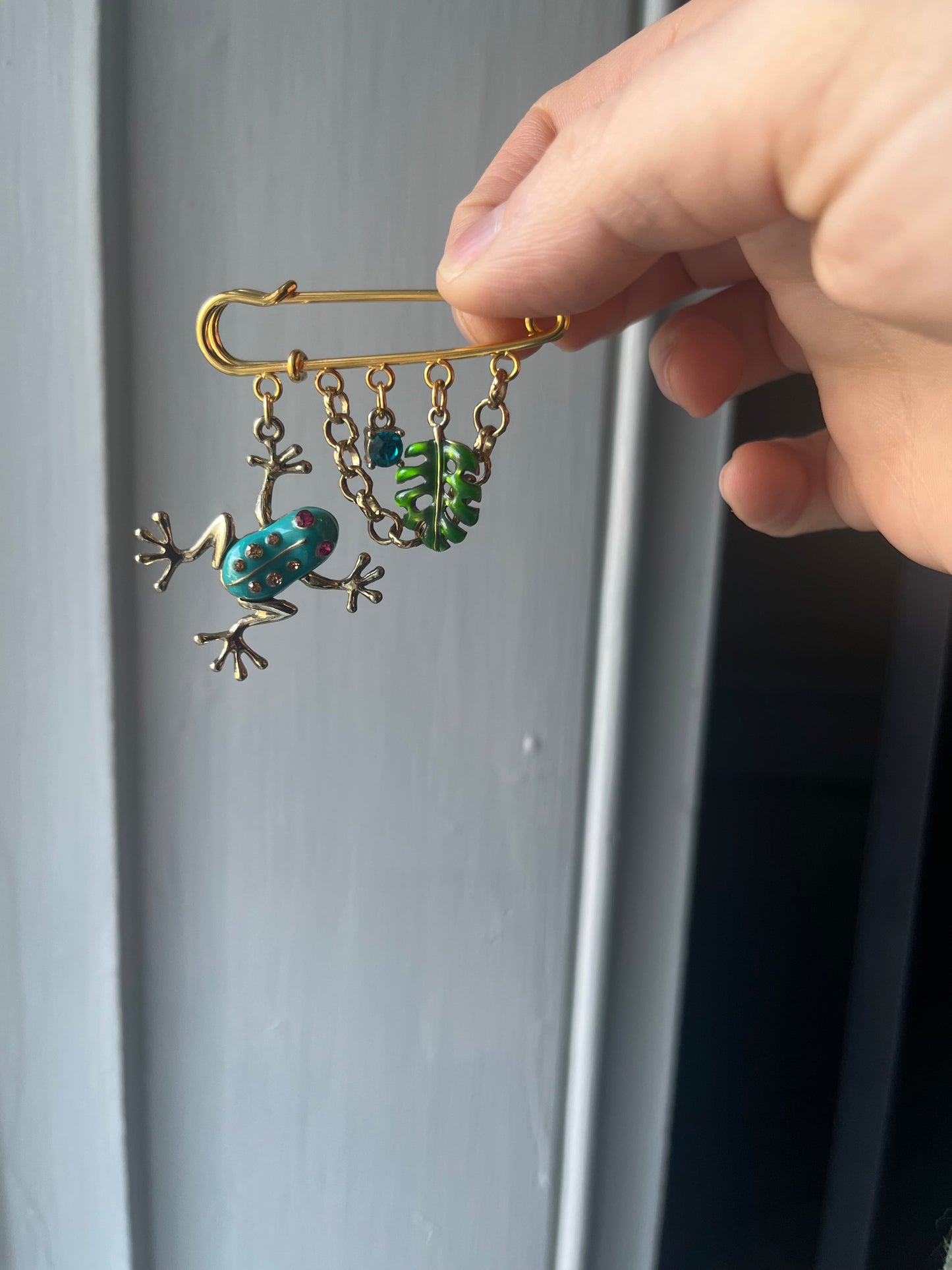 Froggy charm pin