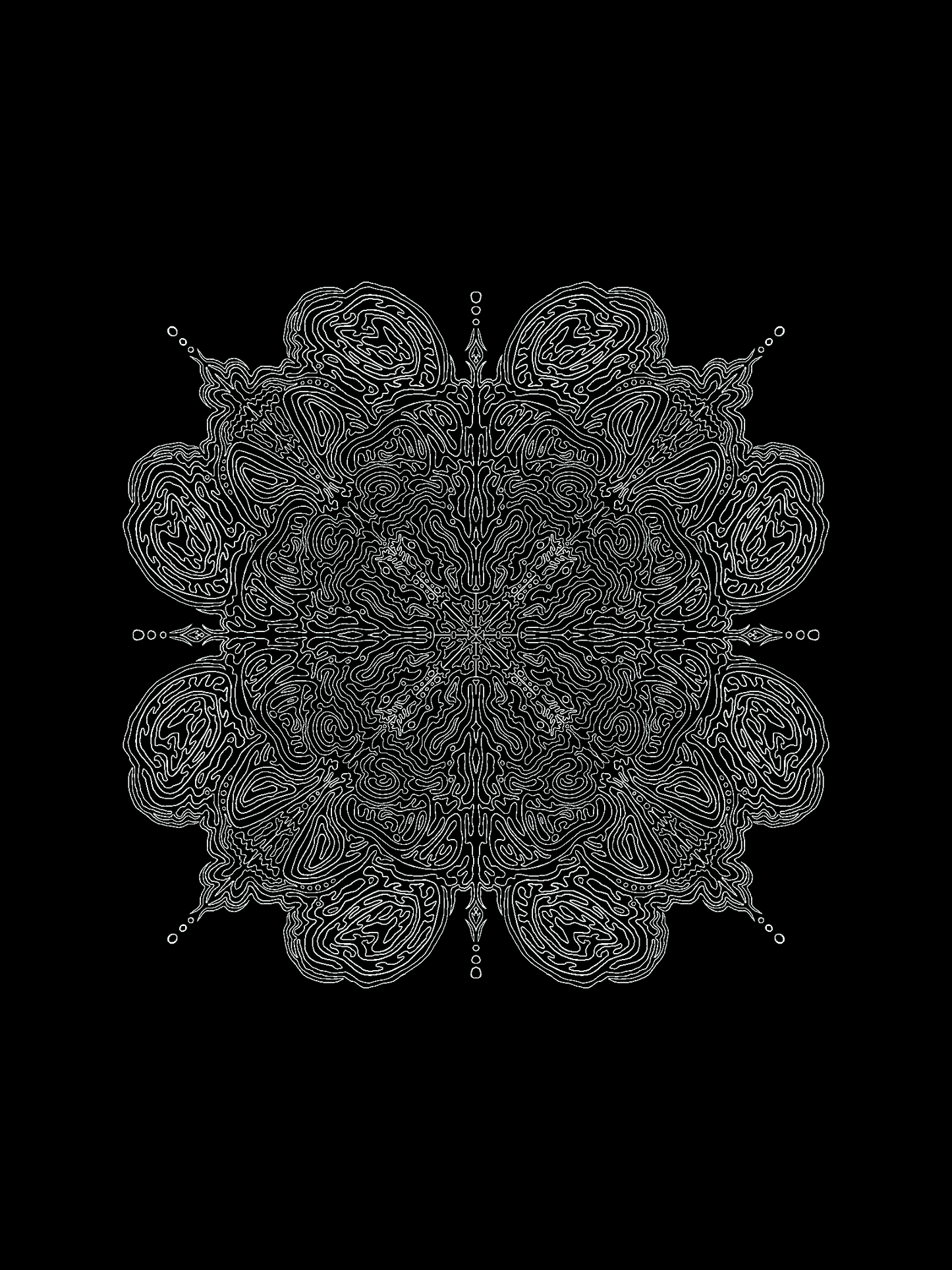 Bloom print