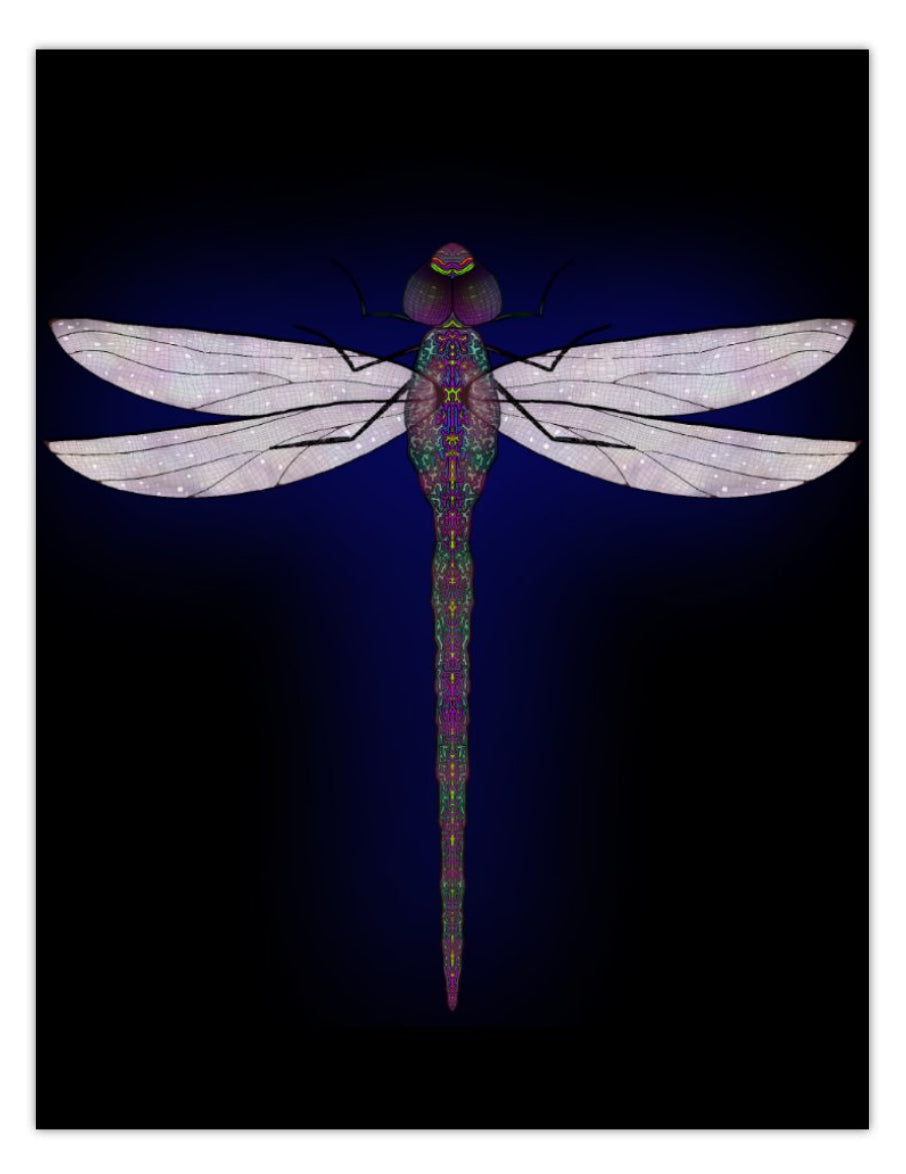 Dragonfly print